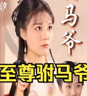 至尊驸马爷海报