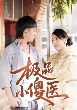极品小傻医海报