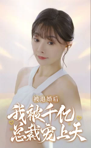 被退婚后,我被千亿总裁宠上天海报