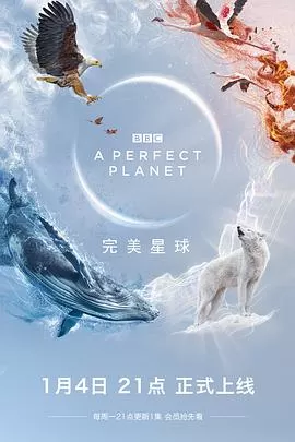 完美星球海报