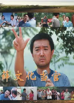 薛文化当官记海报