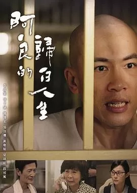 阿良的归白人生海报