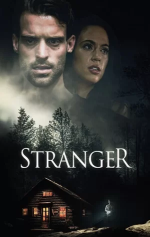 致命陌生人海报