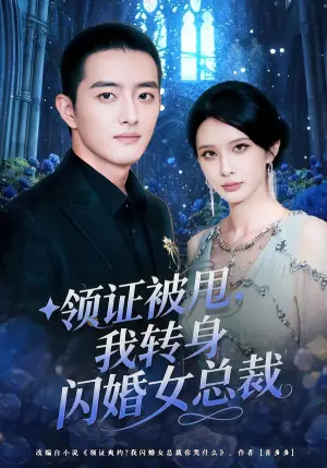 领证被甩,我转身闪婚女总裁海报