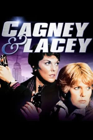 警花拍档第一季海报