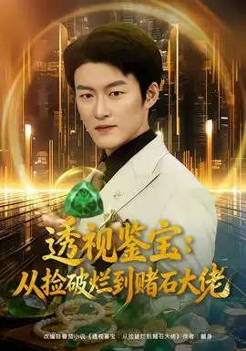 透视鉴宝:从捡破烂到赌石大佬海报