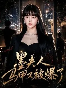 墨夫人马甲又被爆了海报