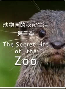 动物园的秘密生活第三季海报