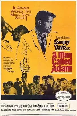 叫亚当的男人海报