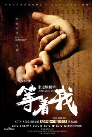 家道颖颖之等着我海报