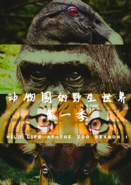 动物园的野生世界第一季海报