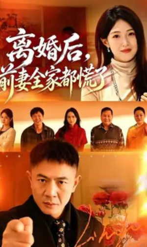 离婚后,前妻全家都慌了海报
