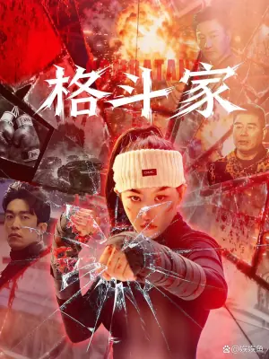 格斗家海报