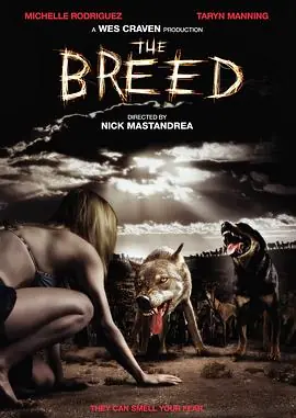 繁殖TheBreed海报