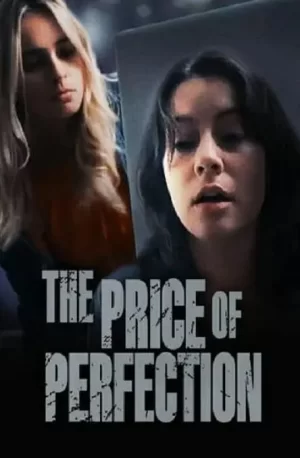 完美的代价海报
