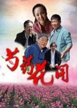 芍药花开海报