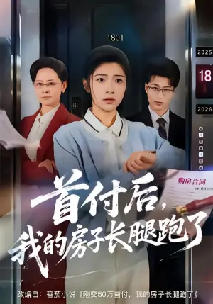 首付后,我的房子长腿跑了海报
