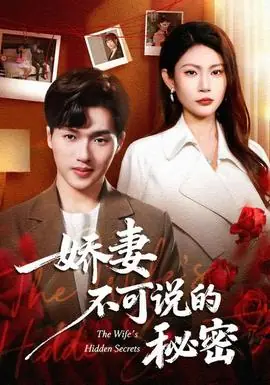 娇妻不可说的秘密海报