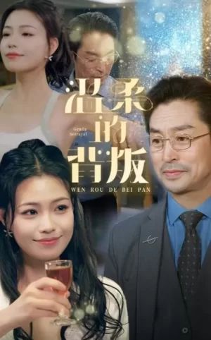 温柔的背叛海报