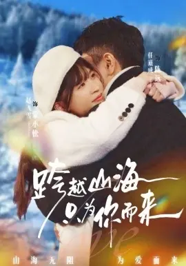 跨越山海只为你而来海报