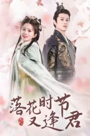 落花时节又逢君海报