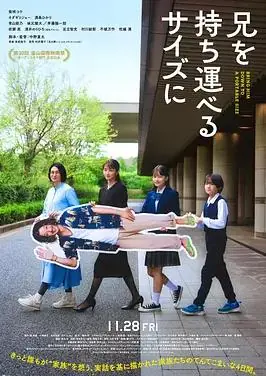 把哥哥带走海报