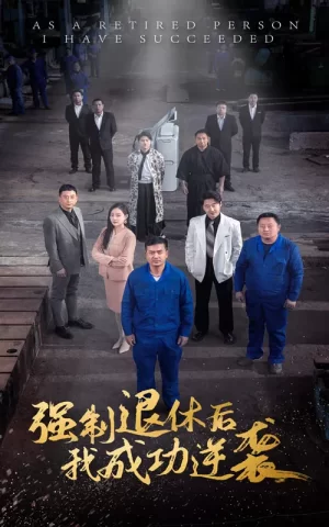 强制退休后我成功逆袭海报