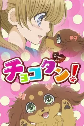 巧克力小狗海报