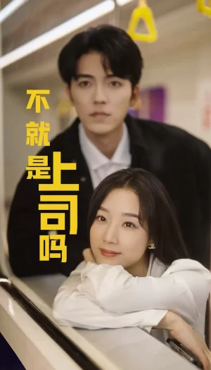 不就是上司吗海报