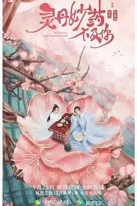 灵丹妙药不及你海报