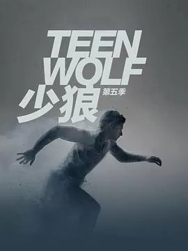 少狼第五季海报