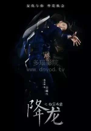 降龙之白露为霜海报