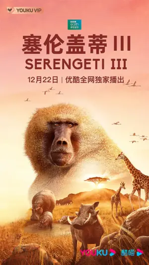 塞伦盖蒂第三季海报