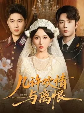 几许欢情与离恨海报