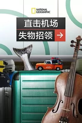 直击机场失物招领海报