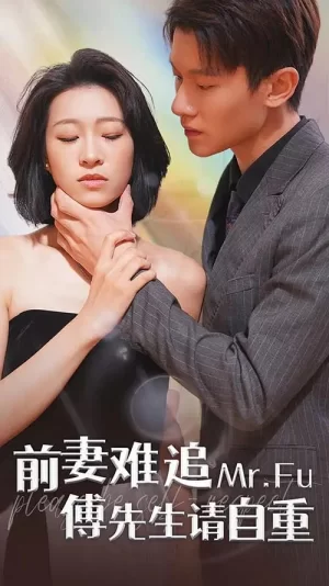 前妻难追,傅先生请自重海报