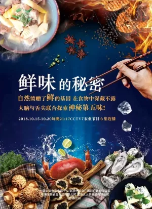 鲜味的秘密海报