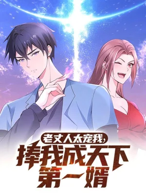 老丈人太宠我捧我成天下第一婿海报