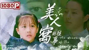 美人窝的往事海报