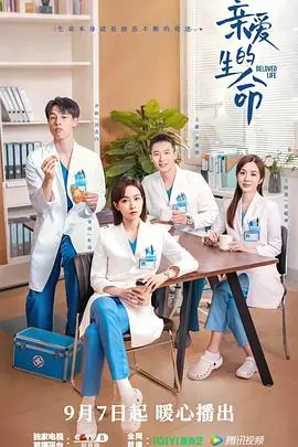 爱的生命密码海报