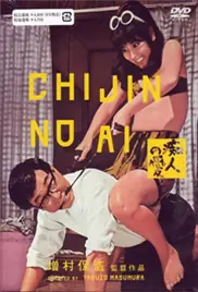 痴人之爱海报