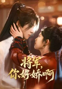 将军,你好娇啊海报