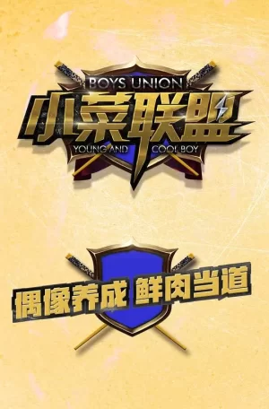 小菜联盟海报