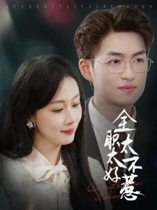 全职太太不好惹海报