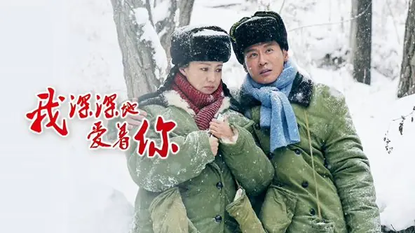 我深深地爱着你海报