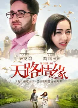天路情缘海报
