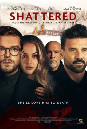 心碎效应[影视解说]海报