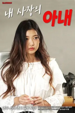 老板的老婆海报