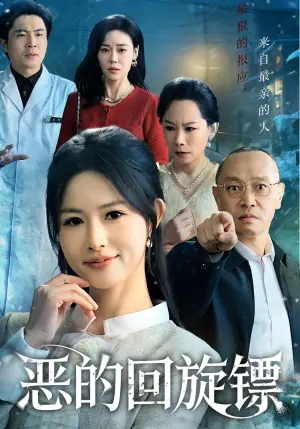恶的回旋镖海报