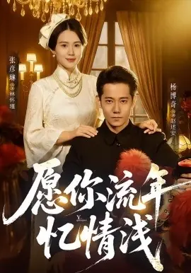 愿你流年忆情浅海报